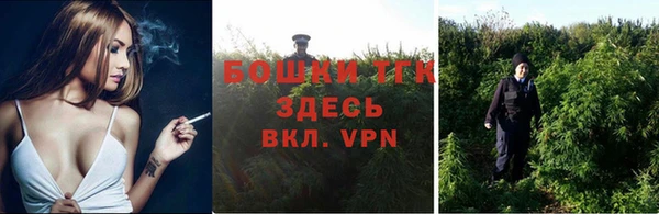 стаф Вяземский