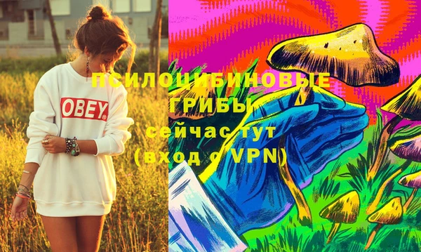 индика Абинск