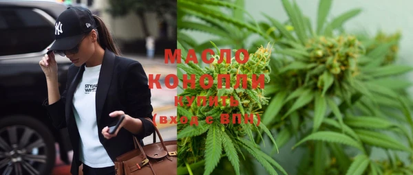 индика Абинск