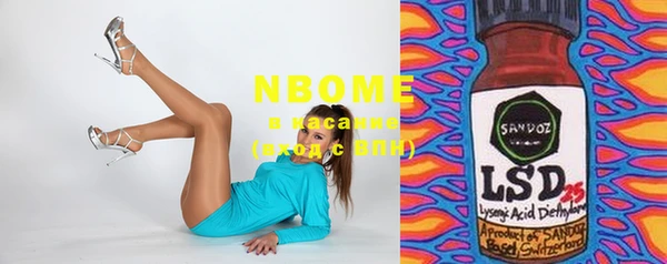 индика Абинск