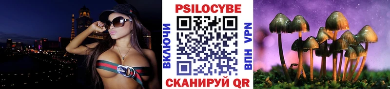 Псилоцибиновые грибы GOLDEN TEACHER Великий Новгород
