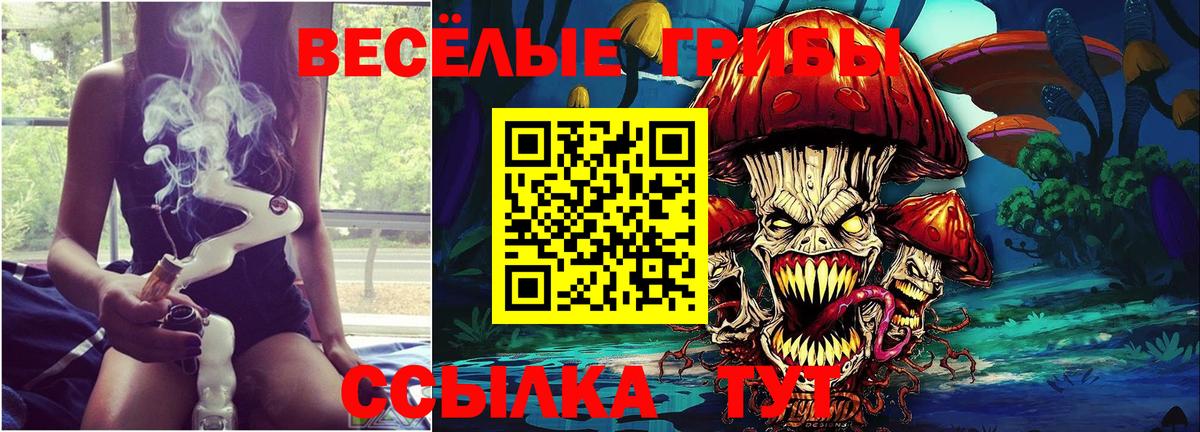 Галлюциногенные грибы Psilocybine cubensis Великий Новгород