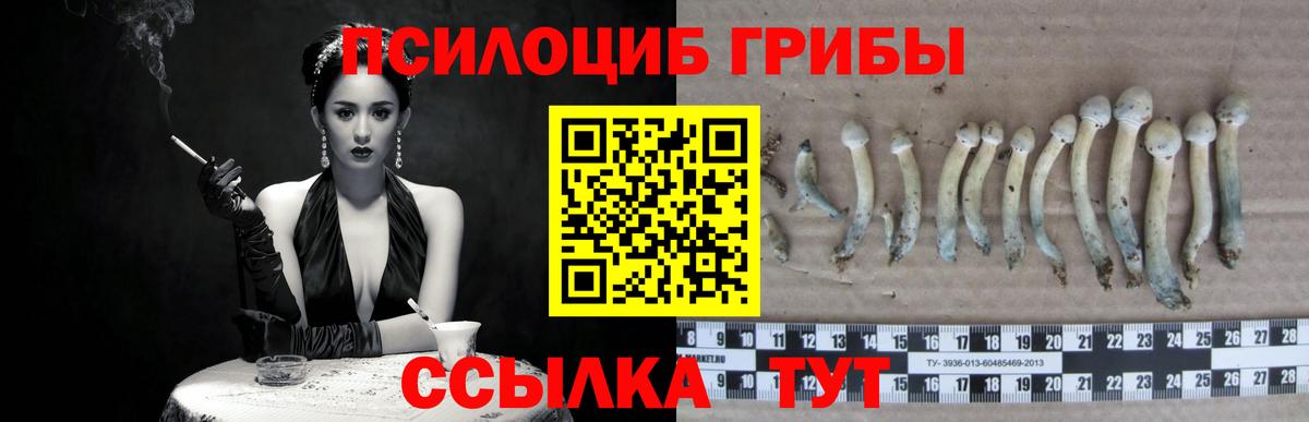 Псилоцибиновые грибы мицелий  Вход с VPN  Великий Новгород  Псилоцибиновые грибы MAGIC MUSHROOMS 